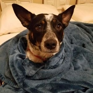 Meet your Posher, Zara